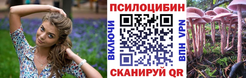 Псилоцибиновые грибы ЛСД как найти Кубинка